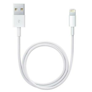 iPhone charging Cable 3.3 Feet
